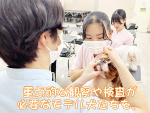 血液検査と健康チェック！